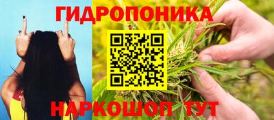 шишки Тулун