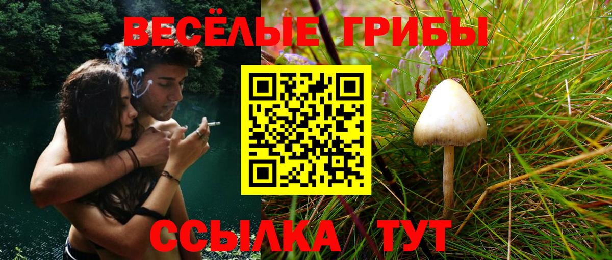 Нововоронеж  Псилоцибиновые грибы MAGIC MUSHROOMS  Вход с VPN 