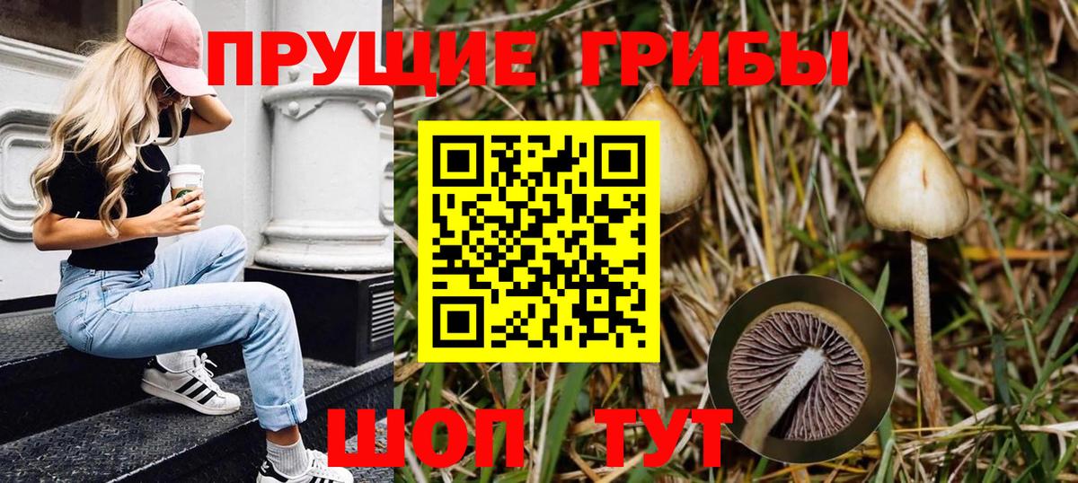Галлюциногенные грибы мухоморы Нововоронеж