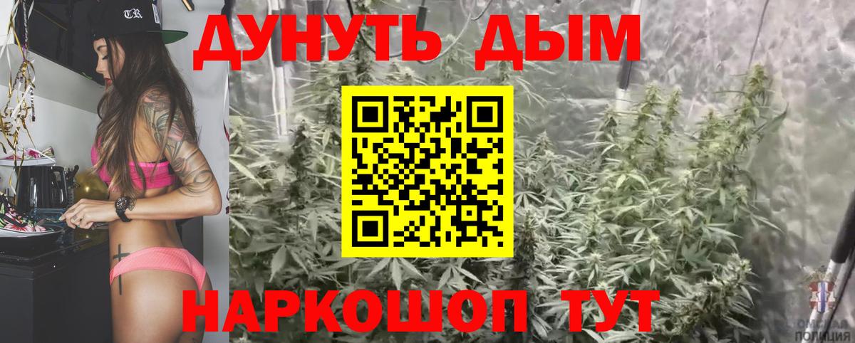 Нововоронеж  Конопля White Widow  Вход с VPN  МАРИХУАНА VHQ  Конопля AK-47 